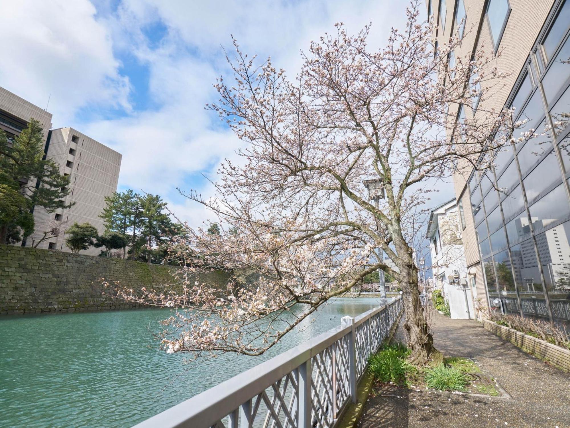 Hotel Fukui Castle - Vacation Stay 58696V Екстер'єр фото