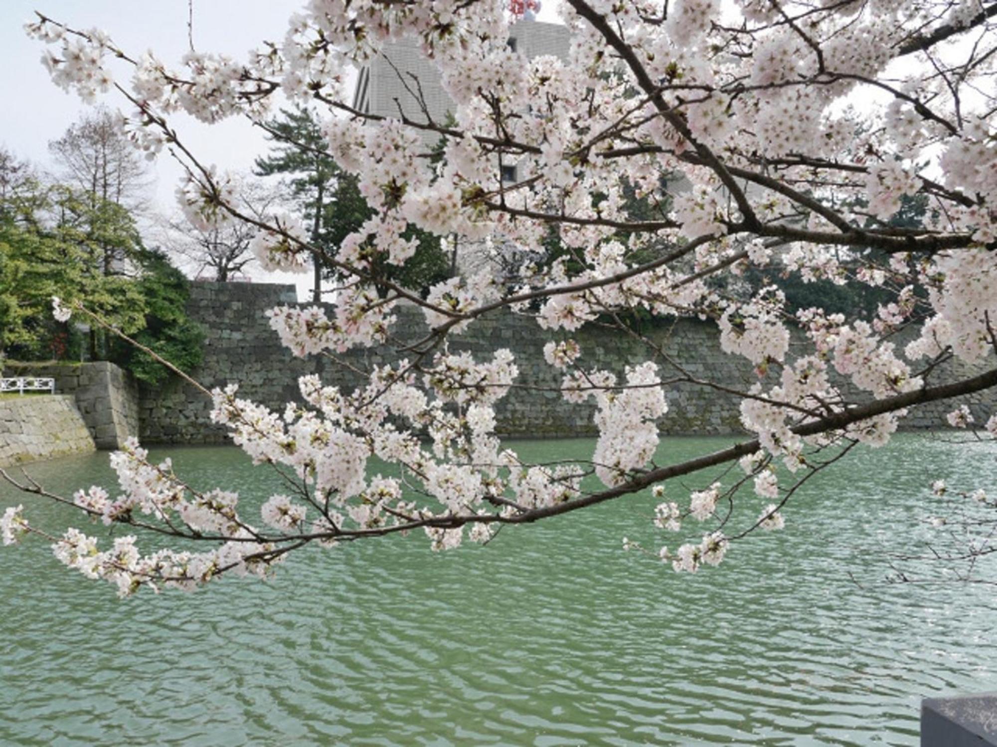 Hotel Fukui Castle - Vacation Stay 58696V Екстер'єр фото